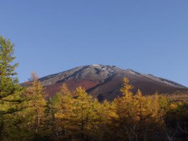 富士山5合目(山梨側)の紅葉