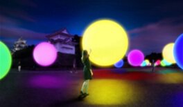 夜の名古屋城で楽しめる幻想的なデジタルアート