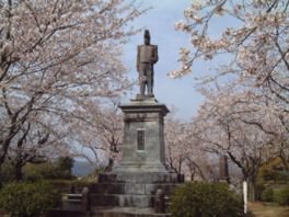 延岡城跡・城山公園の桜