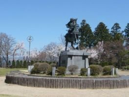 城山公園の桜(岐阜県)