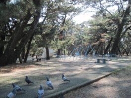 高知県立種崎千松公園