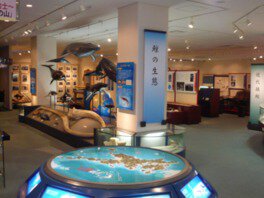 新上五島町鯨賓館ミュージアム