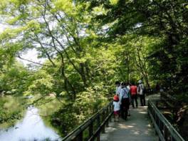 大阪府民の森 緑の文化園 むろいけ園地