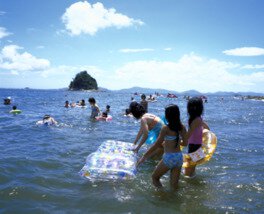 三河大島海水浴場【2021年は定期船の運航なし】