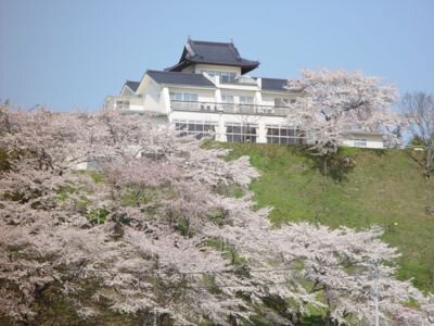 大衡城跡公園の桜