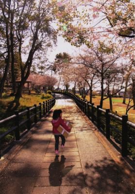 高松神社の桜