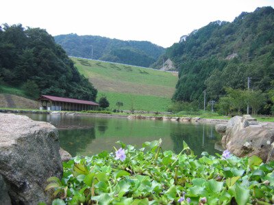朝倉ダム湖畔緑水公園