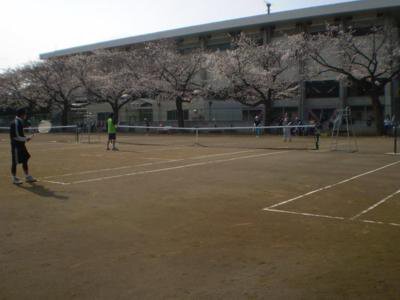 上尾運動公園の桜