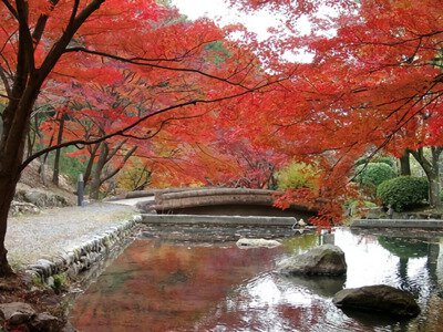 東山公園の紅葉