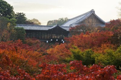 大本山 東福寺の紅葉