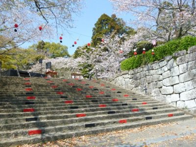 舞鶴公園(宮崎県)の桜