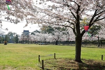 史跡高松城跡玉藻公園の桜