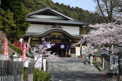由加山蓮台寺の桜