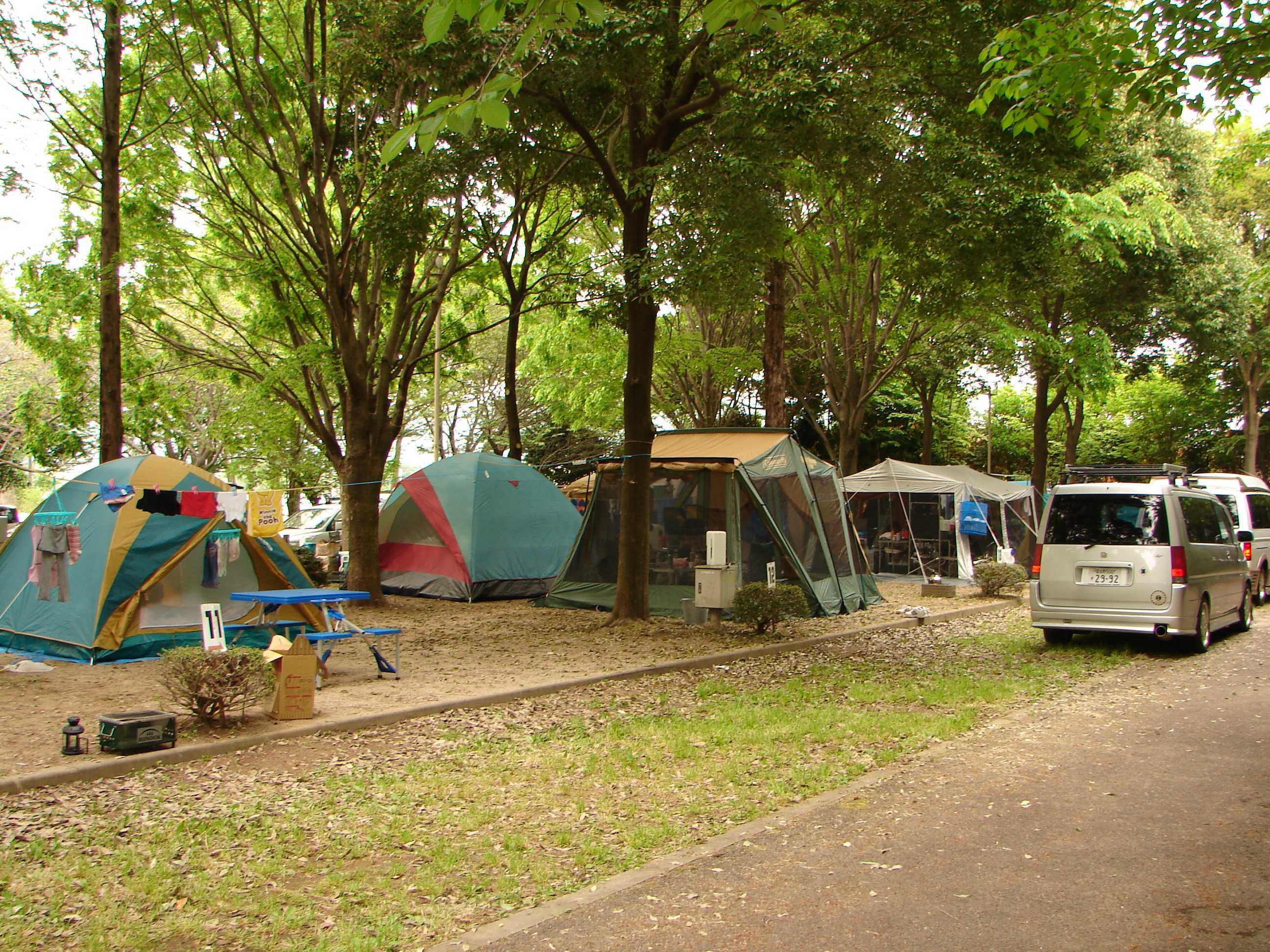 上野 沼 やすらぎ の 里 キャンプ 場