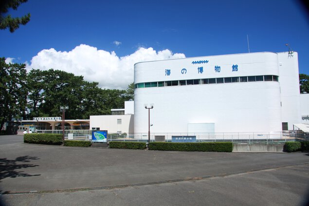 東海大学海洋科学博物館
