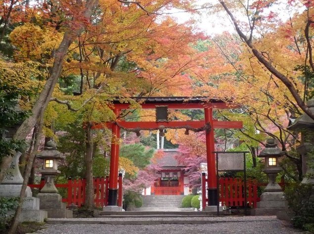 洛西(大原野神社)の紅葉
