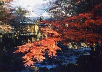 修善寺温泉「竹林の小径」と「修禅寺」の紅葉