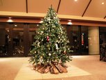 クリスマスツリーはホテルのなかでも人気の高い撮影スポット