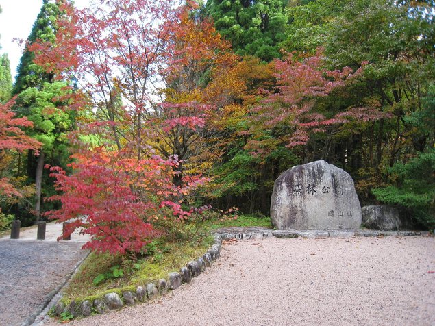 岡山県立森林公園の紅葉