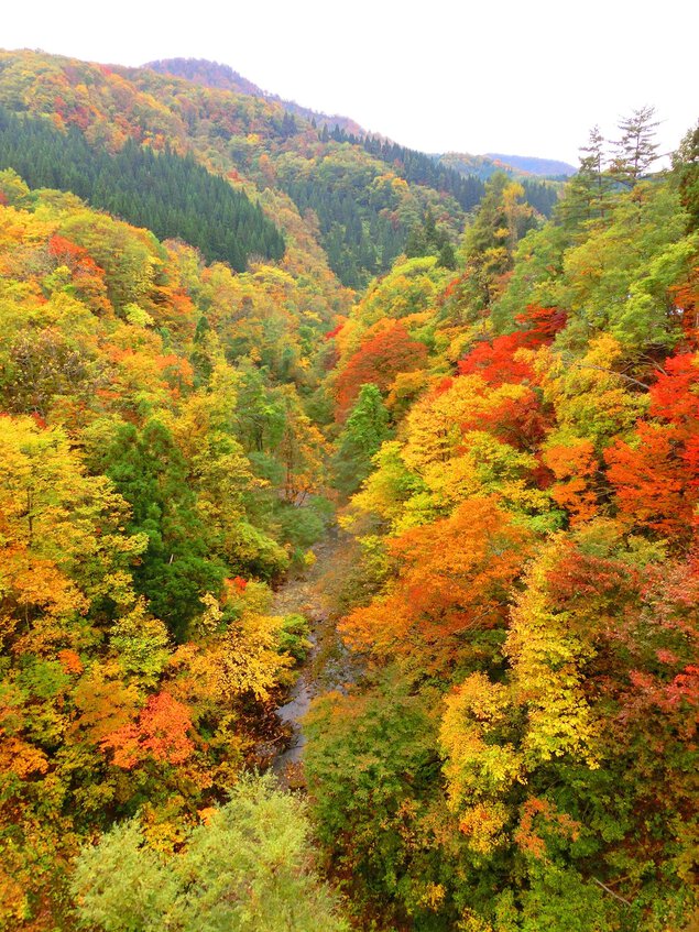 三途川渓谷の紅葉