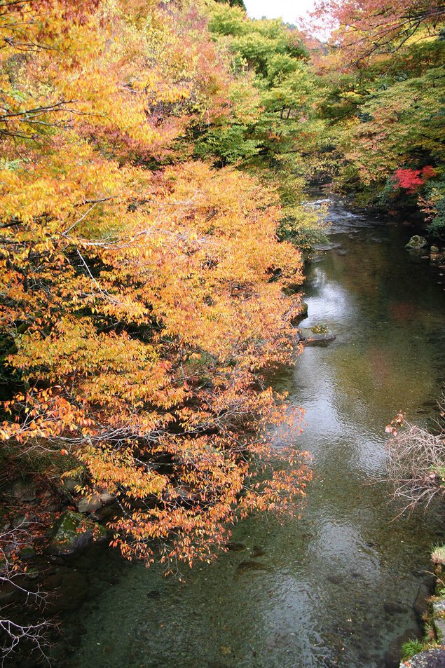 五ヶ瀬渓谷の紅葉