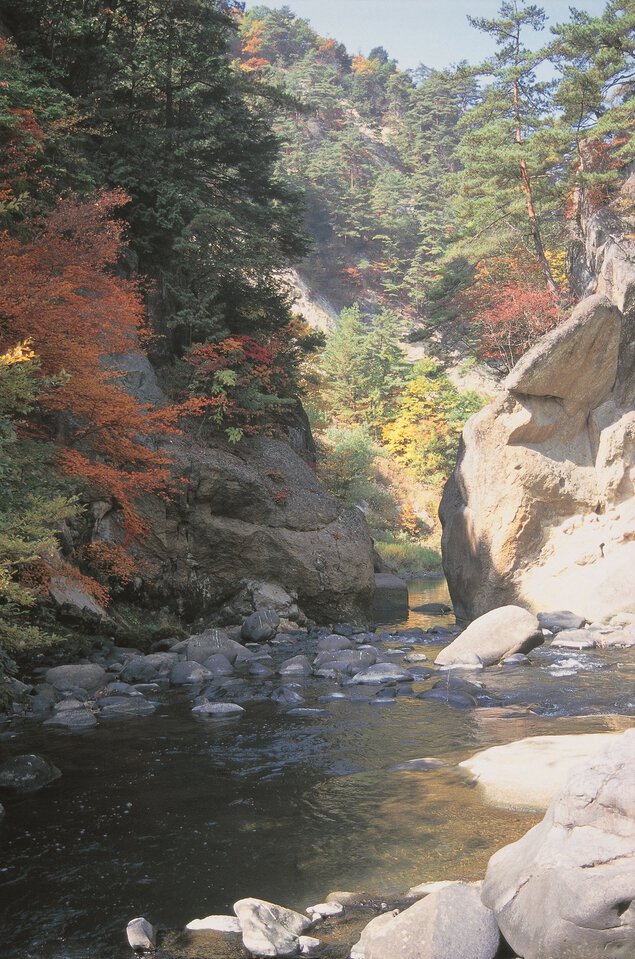 県立自然公園 差切峡の紅葉