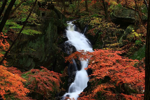 滝川渓谷の紅葉