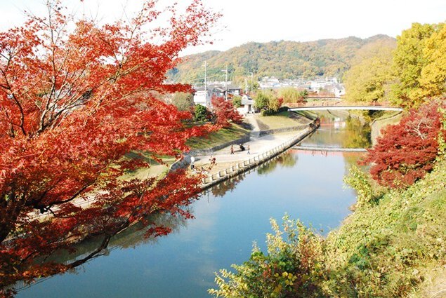 奈良県立竜田公園の紅葉