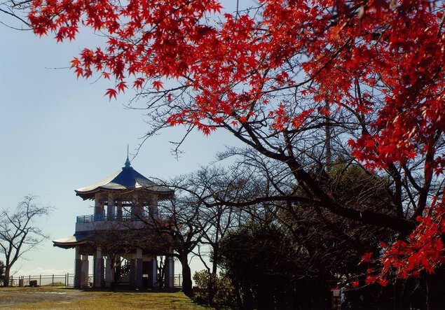 弘法山公園の紅葉