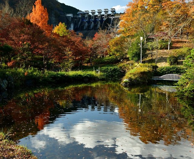 紅葉データ 丹沢湖の紅葉 神奈川県 紅葉名所21 ウォーカープラス