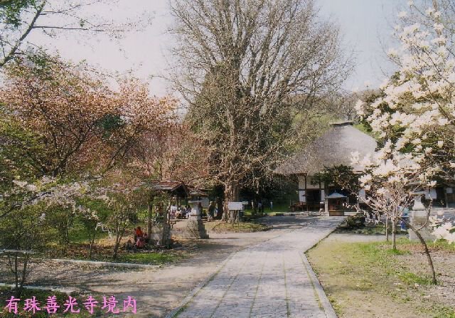 有珠善光寺自然公園の桜 桜名所 お花見21 ウォーカープラス