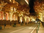 神戸の美しい街並みがライトアップで輝く
