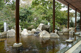 バーデと天然温泉 豊島園 庭の湯