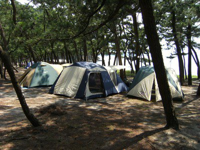 野田浜キャンプ場