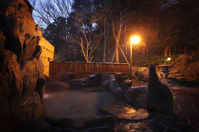 阿波の青石を組み合わせた露天風呂は、秘境・祖谷の四季折々の大自然を堪能できる