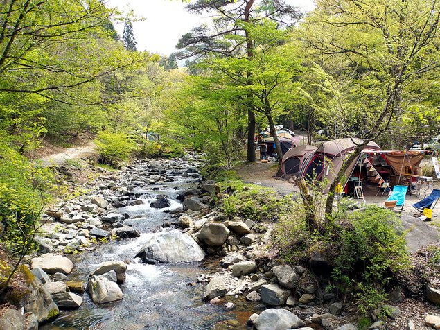 道 志村 キャンプ