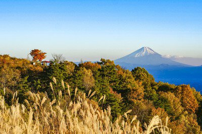 富士見高原 創造の森 彫刻公園