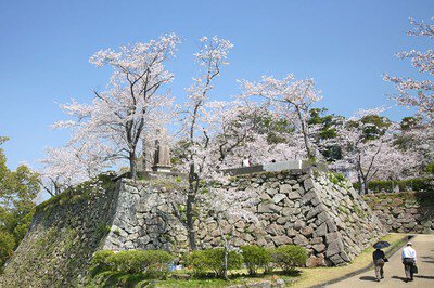 延岡城跡・城山公園の桜