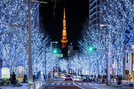 Roppongi Hills Christmas 2022 けやき坂 イルミネーション 画像(2/5) ※昨年の様子