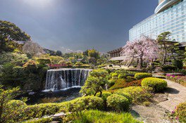 ホテルニューオータニの日本庭園にある迫力満点の大滝と桜
