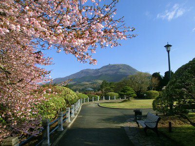 恩賜箱根公園の桜