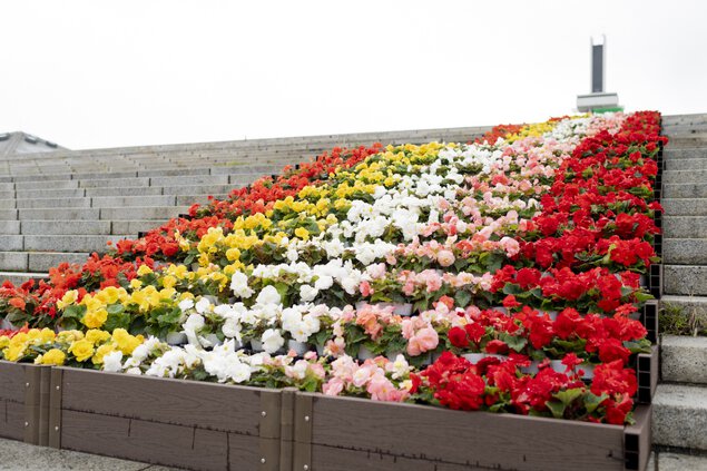 駒沢オリンピック公園　花と光のムーブメント 駒沢オリンピック公園