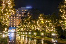 ホテルオークラ東京ベイ ウィンターイルミネーション画像(2/4)※画像はイメージ
