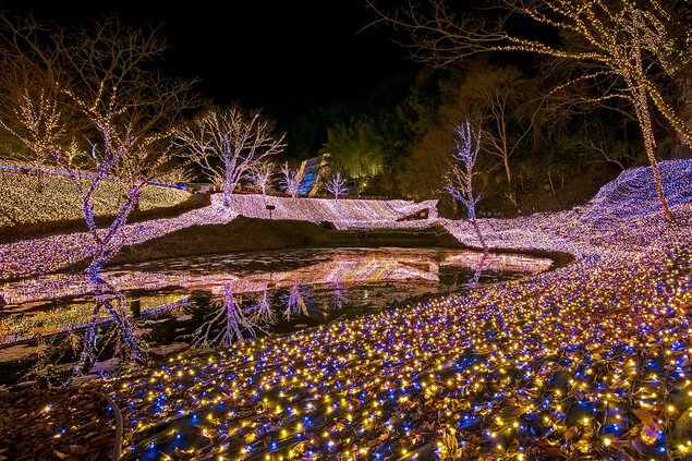 ネスタリゾート神戸　NESTA ILLUMINA(ネスタイルミナ)～光のさんぽみち～ ネスタリゾート神戸