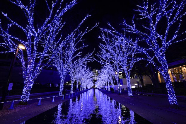 青の洞窟 SHIBUYA 渋谷公園通りから代々木公園ケヤキ並木