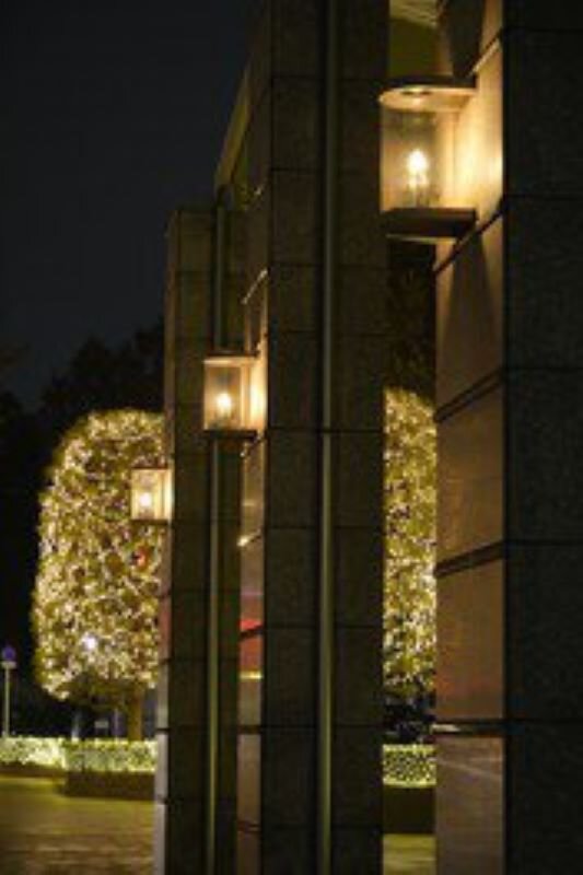 新宿パークタワーのクリスマス 2023 新宿パークタワー