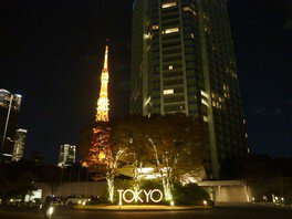 東京タワーとイルミネーションとのコラボレーション