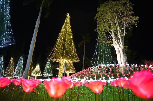 東南植物楽園　沖縄南国イルミネーション2023-2024 美らヤシパークオキナワ・東南植物楽園