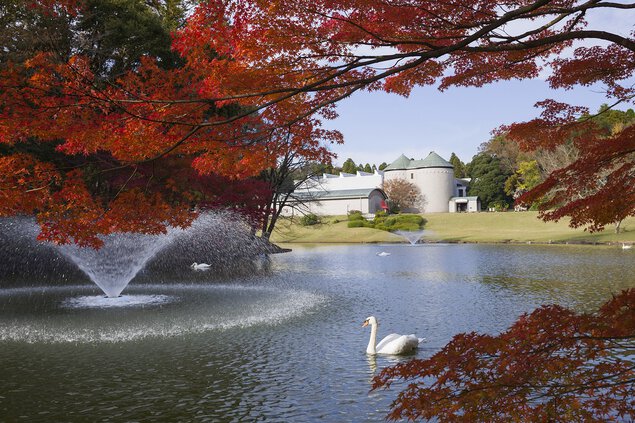 紅葉の池と白鳥
