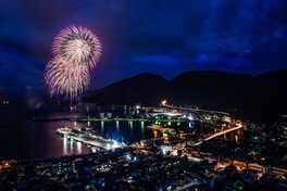 港を見下ろす高台からの絶景ショット